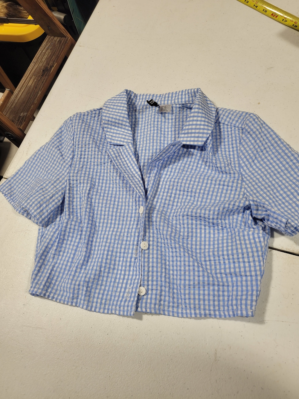 H&M Light Blue Gingham Button-Front Crop Shirt